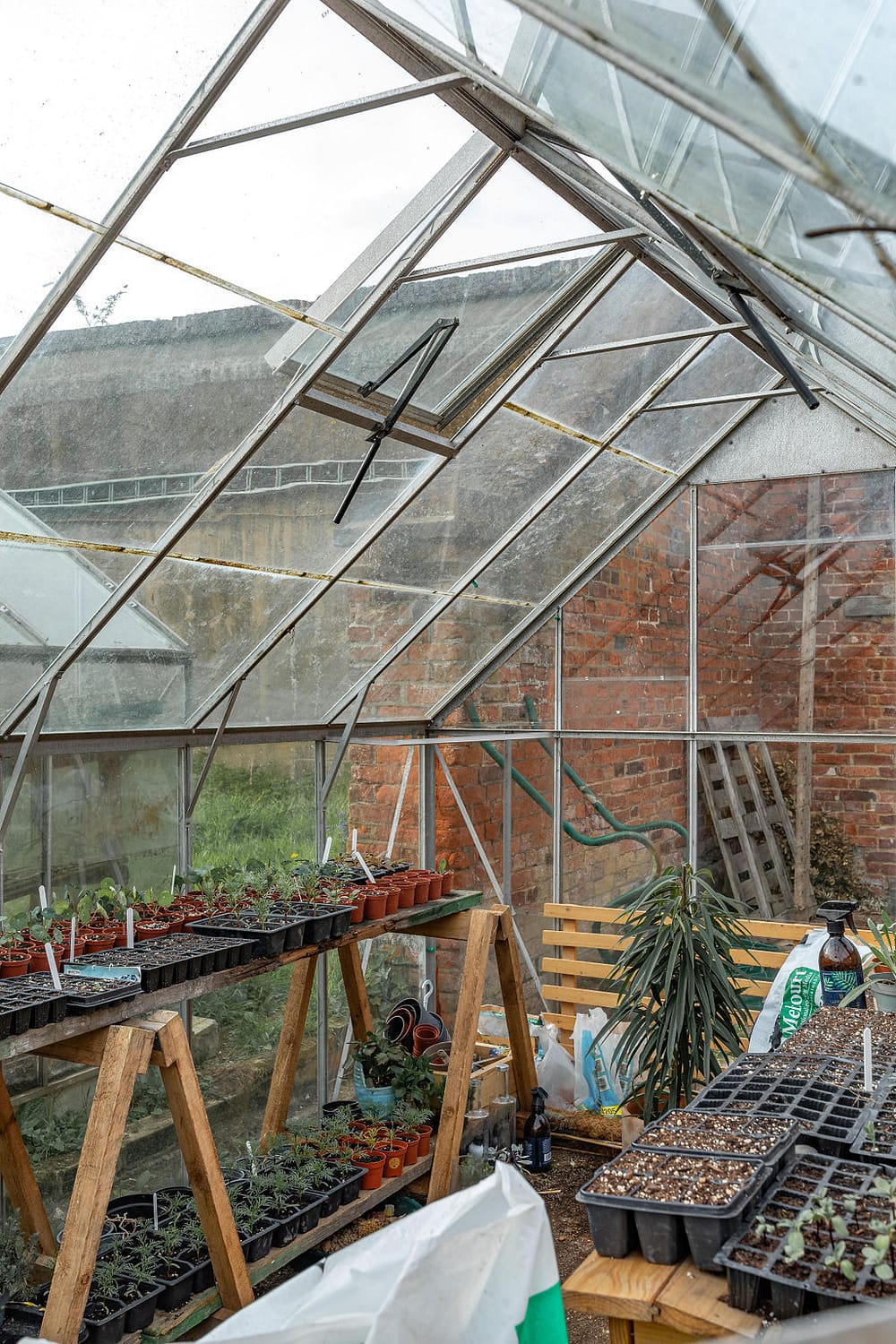 Glasshouse with herbs