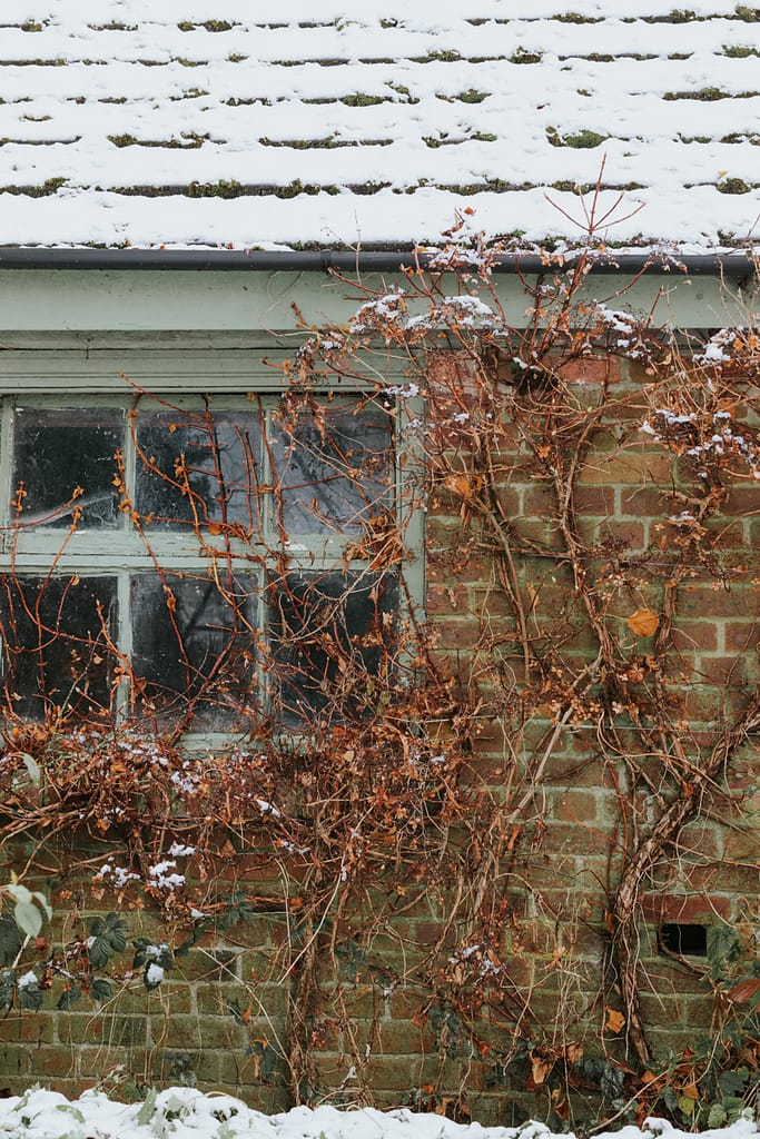 rustic_cottage_window_snow