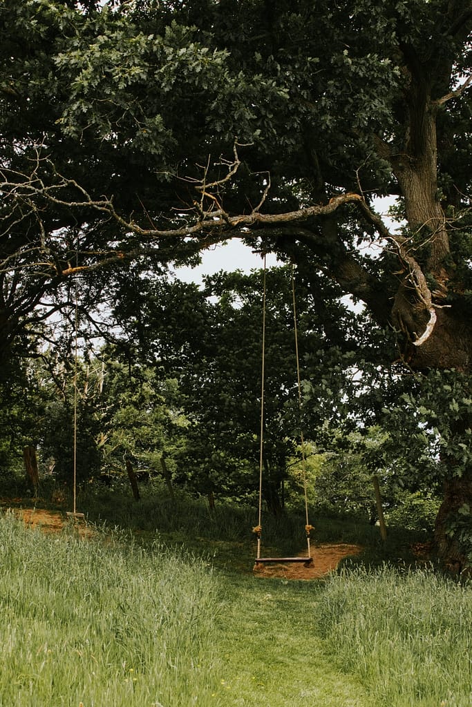 swings_countryside_wild