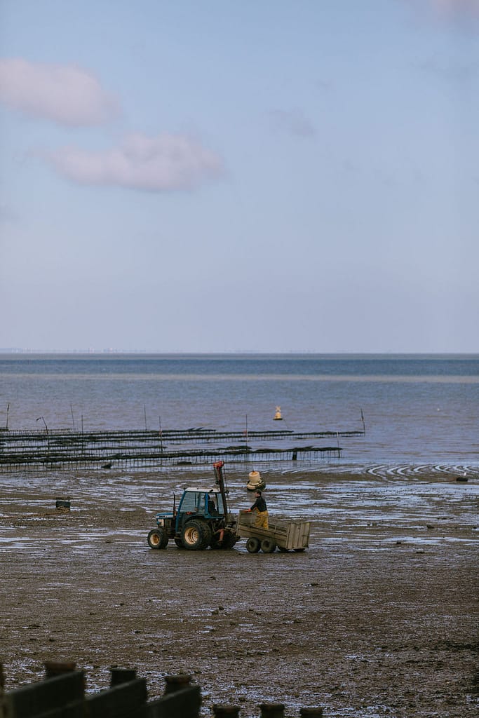 Oyster picking tractor on the beach of Whitstable