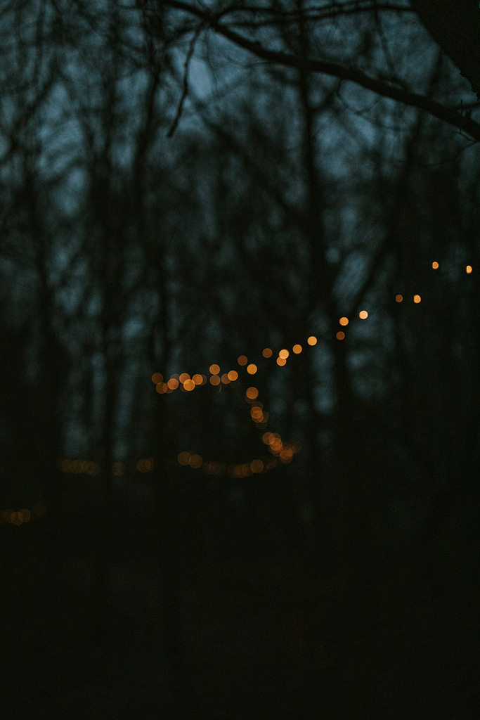 lights_meadow_night