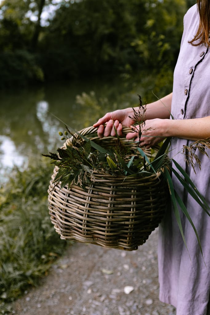 basket_foraging_greens