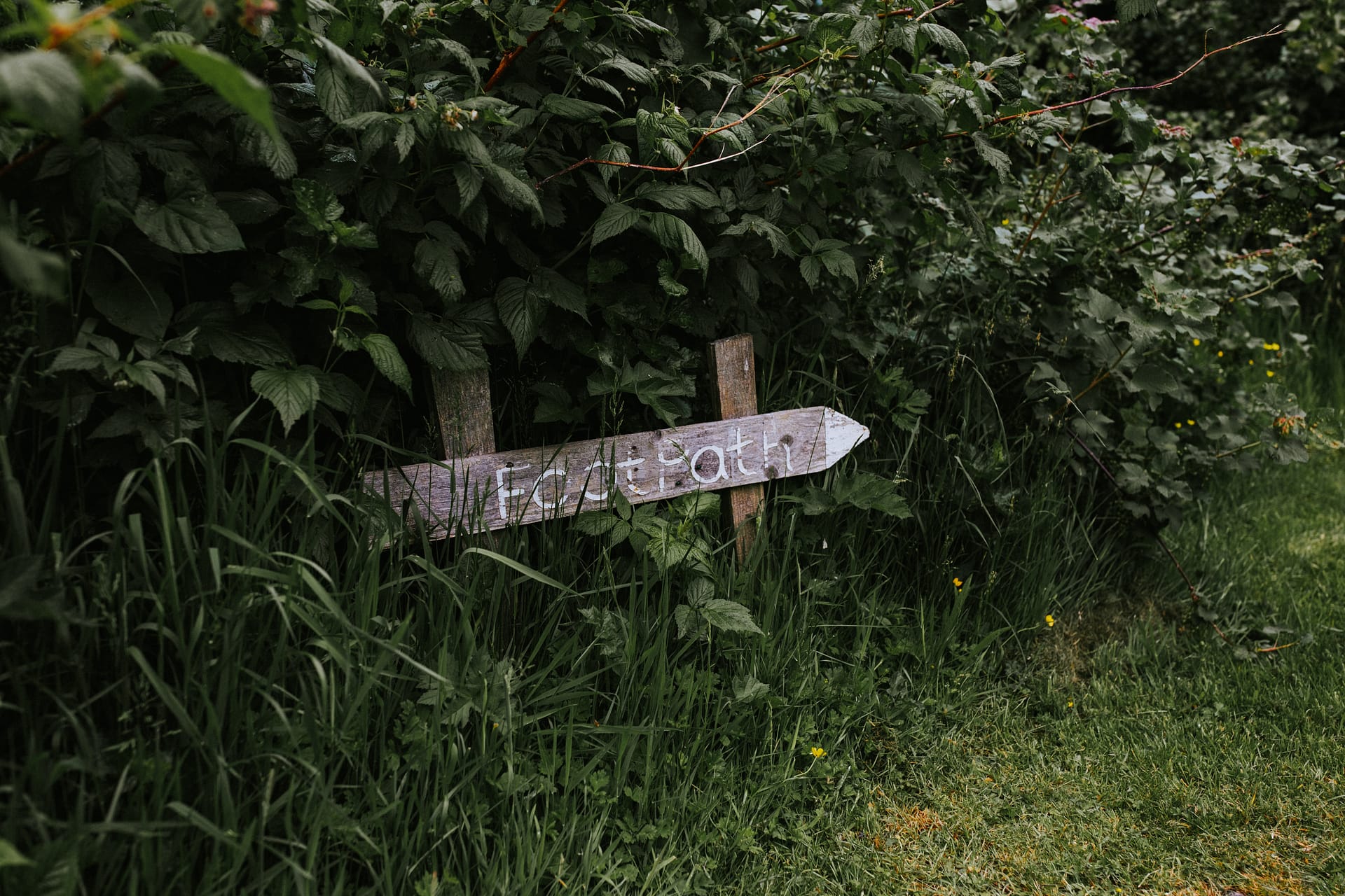 wooden_signpost_countryside_green